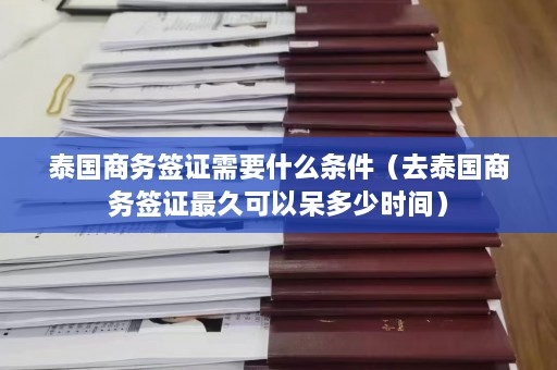 泰国商务签证需要什么条件（去泰国商务签证最久可以呆多少时间）  第1张