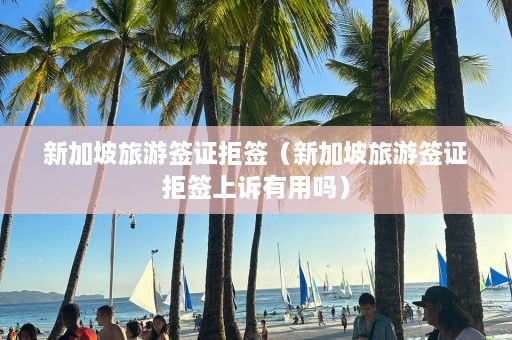 新加坡旅游签证拒签（新加坡旅游签证拒签上诉有用吗）