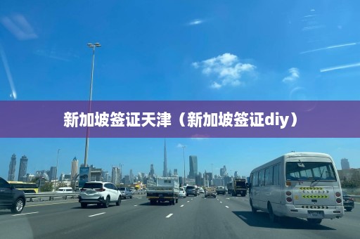 新加坡签证天津（新加坡签证diy）