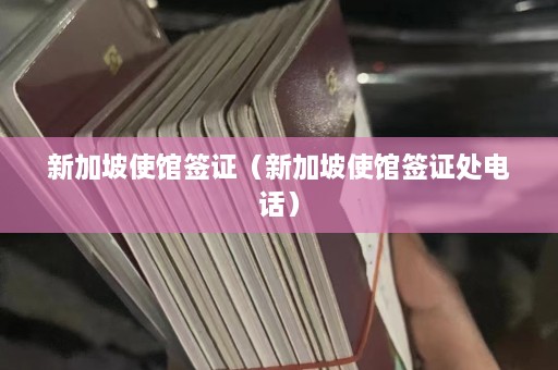 新加坡使馆签证（新加坡使馆签证处电话）