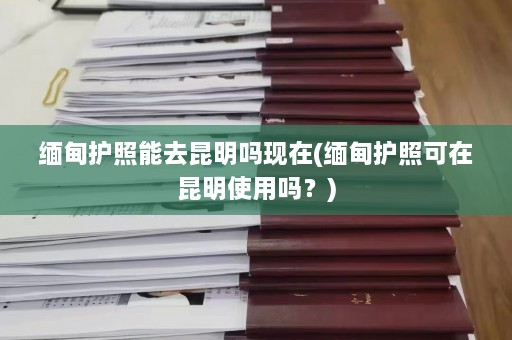 缅甸护照能去昆明吗现在(缅甸护照可在昆明使用吗？)  第1张