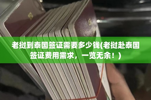 老挝到泰国签证需要多少钱(老挝赴泰国签证费用需求，一览无余！)  第1张