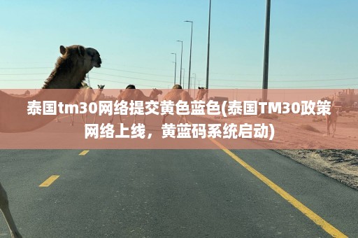 泰国tm30网络提交黄色蓝色(泰国TM30政策网络上线，黄蓝码系统启动)