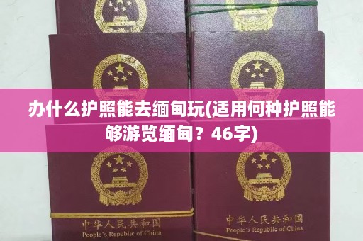 办什么护照能去缅甸玩(适用何种护照能够游览缅甸？46字)  第1张