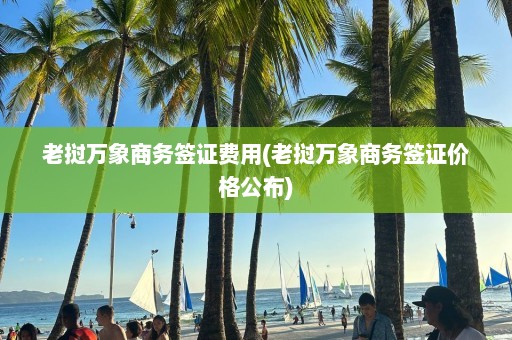 老挝万象商务签证费用(老挝万象商务签证价格公布)