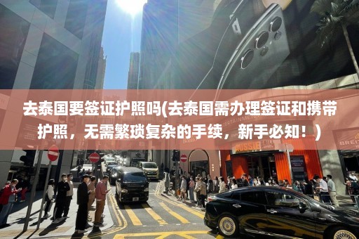 去泰国要签证护照吗(去泰国需办理签证和携带护照，无需繁琐复杂的手续，新手必知！)