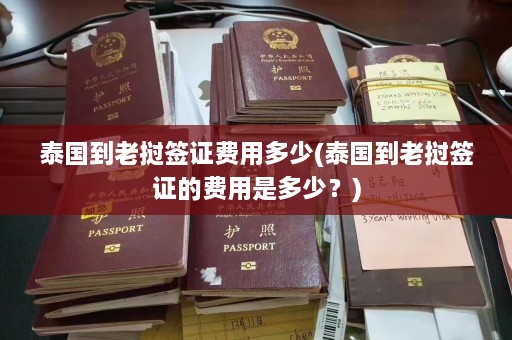 泰国到老挝签证费用多少(泰国到老挝签证的费用是多少？)