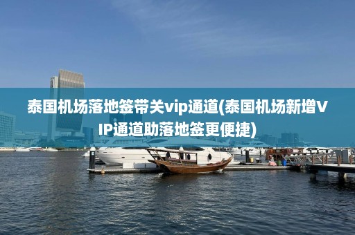 泰国机场落地签带关vip通道(泰国机场新增VIP通道助落地签更便捷)