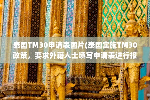 泰国TM30申请表图片(泰国实施TM30政策，要求外籍人士填写申请表进行报告)  第1张