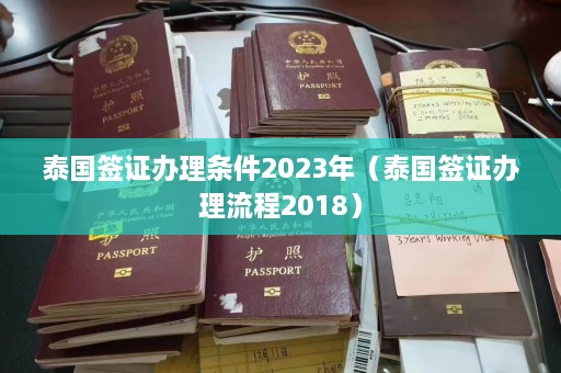 泰国签证办理条件2023年（泰国签证办理流程2018）  第1张