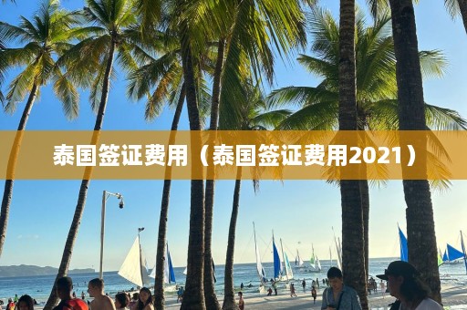 泰国签证费用（泰国签证费用2021）  第1张