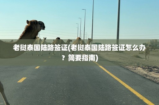 老挝泰国陆路签证(老挝泰国陆路签证怎么办？简要指南)