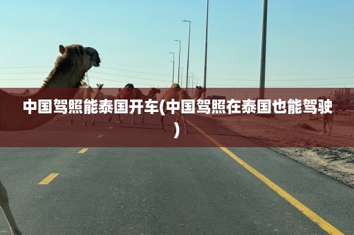 中国驾照能泰国开车(中国驾照在泰国也能驾驶)