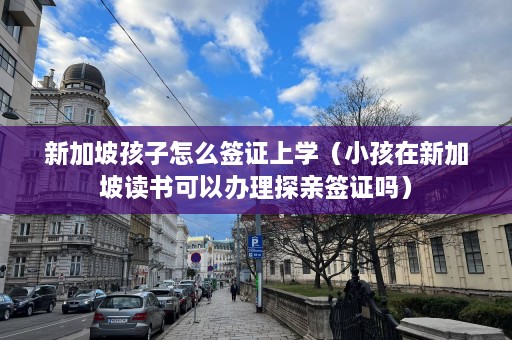 新加坡孩子怎么签证上学（小孩在新加坡读书可以办理探亲签证吗）