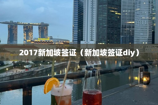 2017新加坡签证（新加坡签证diy）