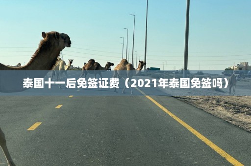 泰国十一后免签证费（2021年泰国免签吗）