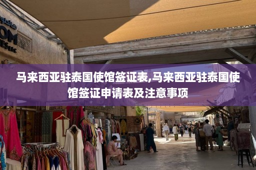 马来西亚驻泰国使馆签证表,马来西亚驻泰国使馆签证申请表及注意事项