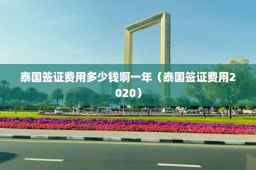 泰国签证费用多少钱啊一年（泰国签证费用2020）