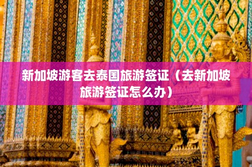 新加坡游客去泰国旅游签证（去新加坡旅游签证怎么办）  第1张