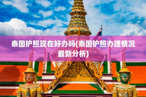 泰国护照现在好办吗(泰国护照办理情况最新分析)  第1张