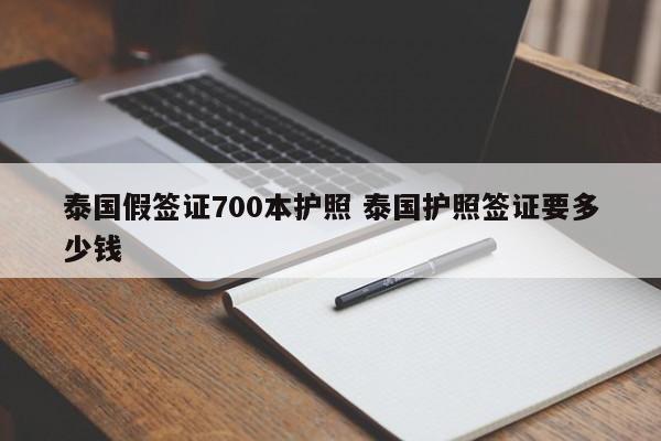 泰国假签证700本护照 泰国护照签证要多少钱