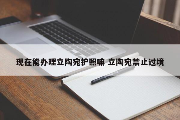 现在能办理立陶宛护照嘛 立陶宛禁止过境