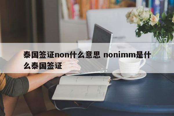 泰国签证non什么意思 nonimm是什么泰国签证