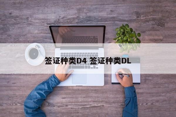 签证种类D4 签证种类DL